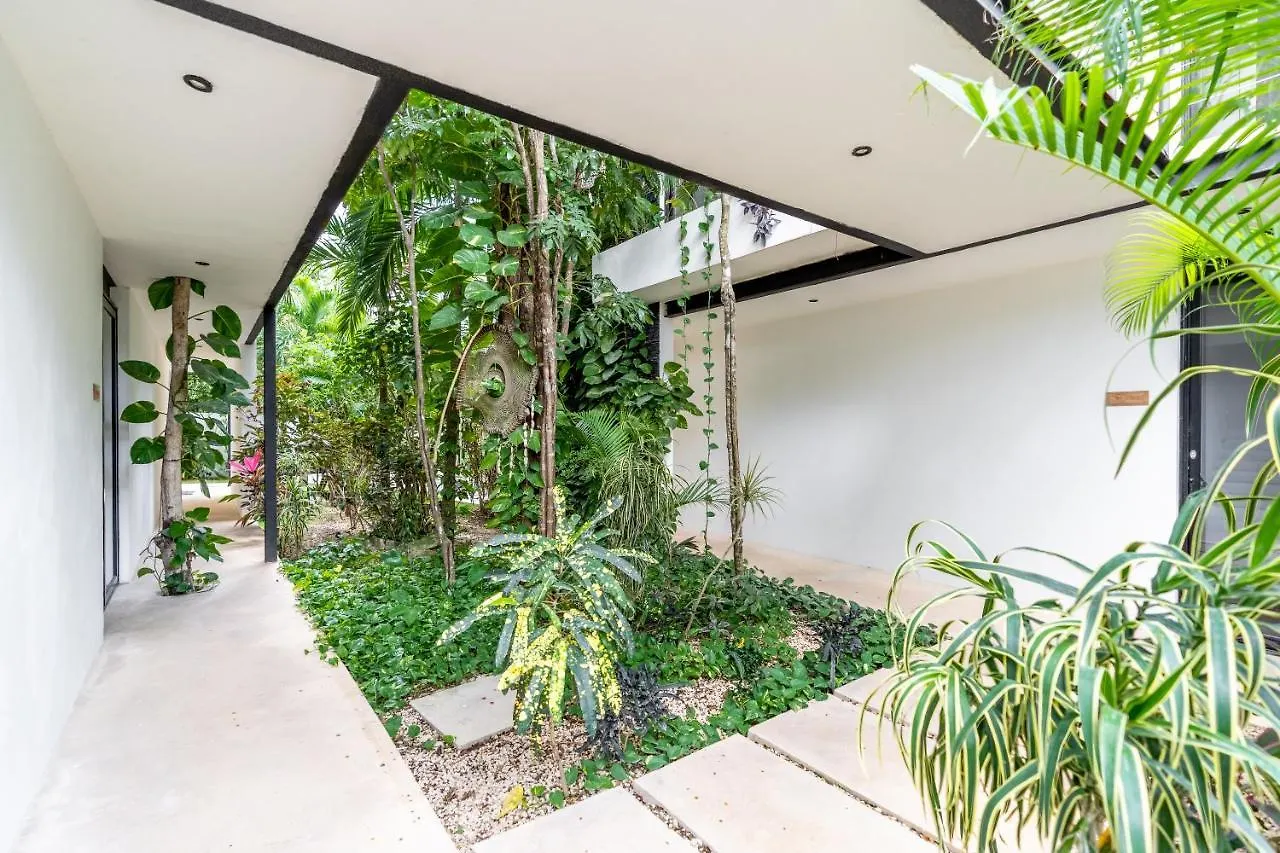 Loft Laurel Plunge Pool , Wifi, A/C, Parking Apartment Tulum