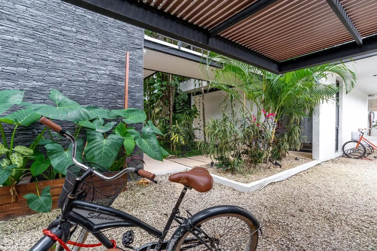 Loft Laurel Plunge Pool , Wifi, A/C, Parking Apartment Tulum