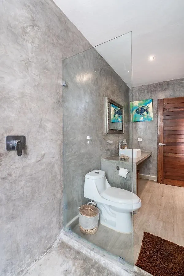 Loft Laurel Plunge Pool , Wifi, A/C, Parking Apartment Tulum