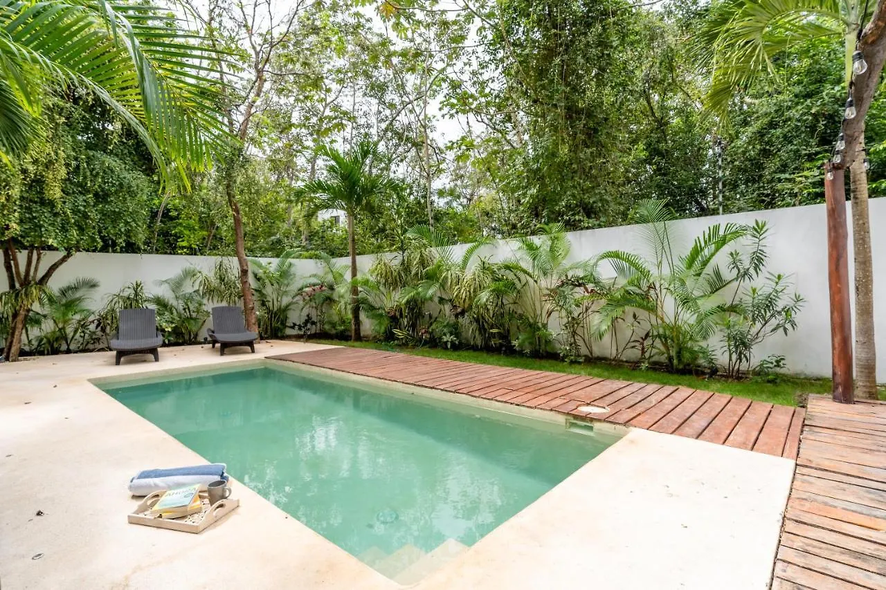 Loft Laurel Plunge Pool , Wifi, A/C, Parking Apartment Tulum