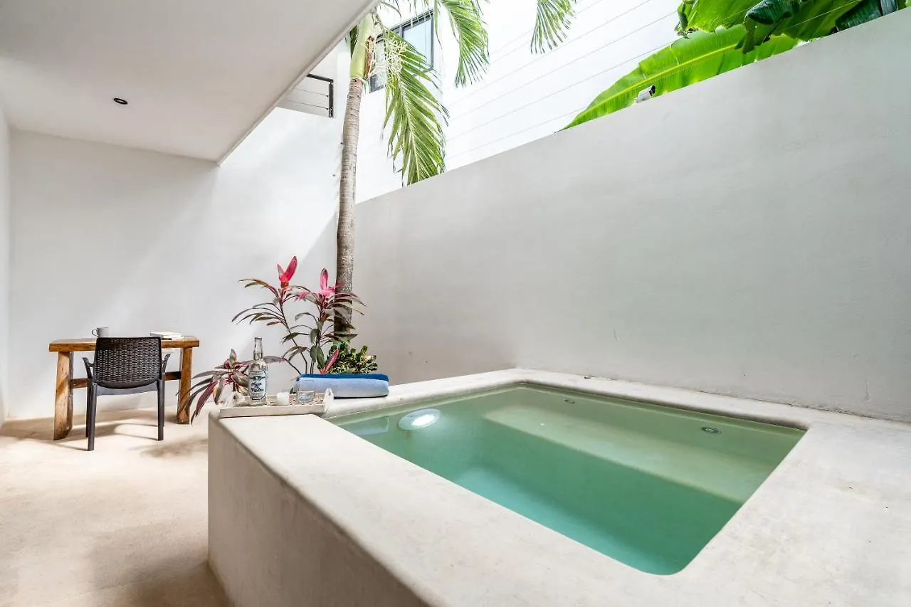 Loft Laurel Plunge Pool , Wifi, A/C, Parking Apartment Tulum 0*,  Mexico