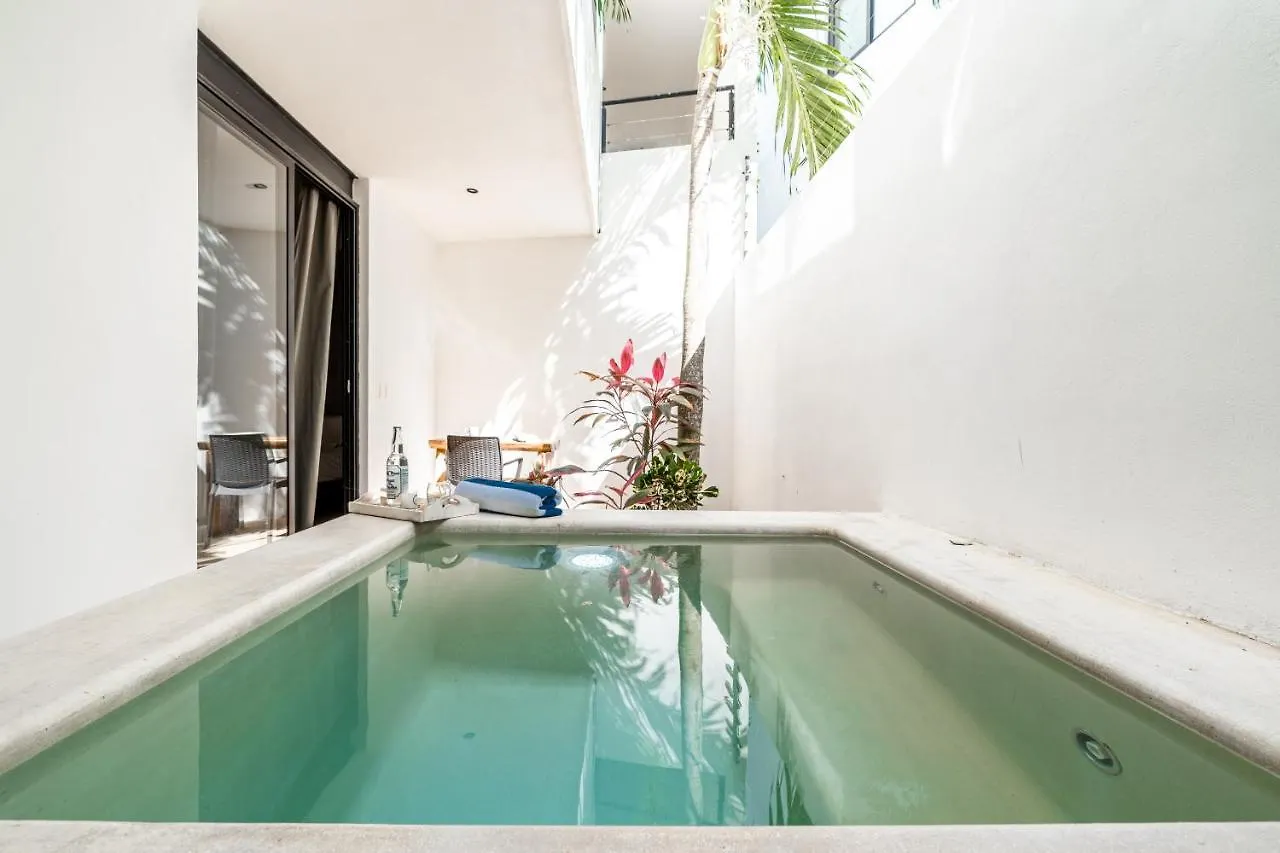 Loft Laurel Plunge Pool , Wifi, A/C, Parking Apartment Tulum