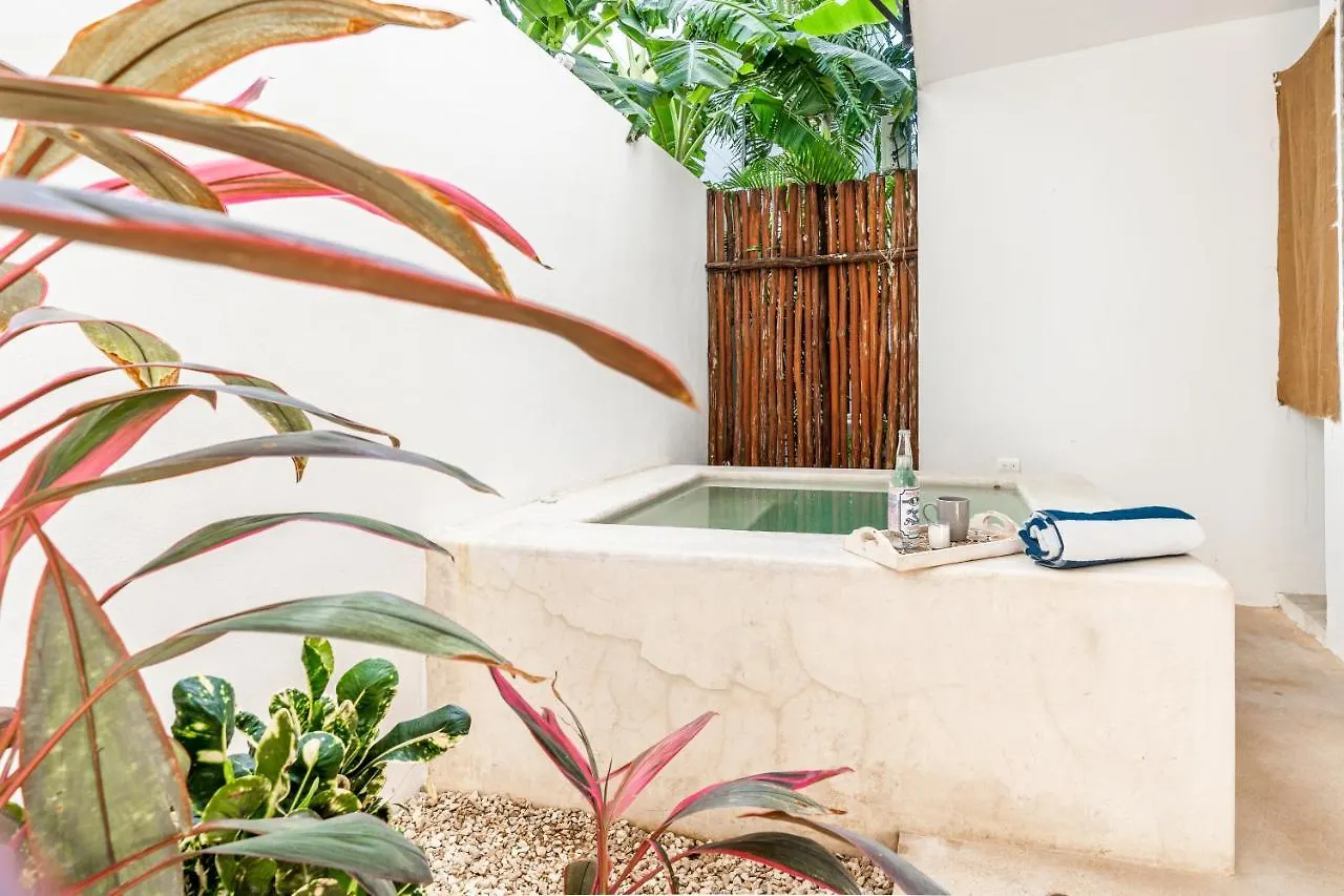 Loft Laurel Plunge Pool , Wifi, A/C, Parking Apartment Tulum