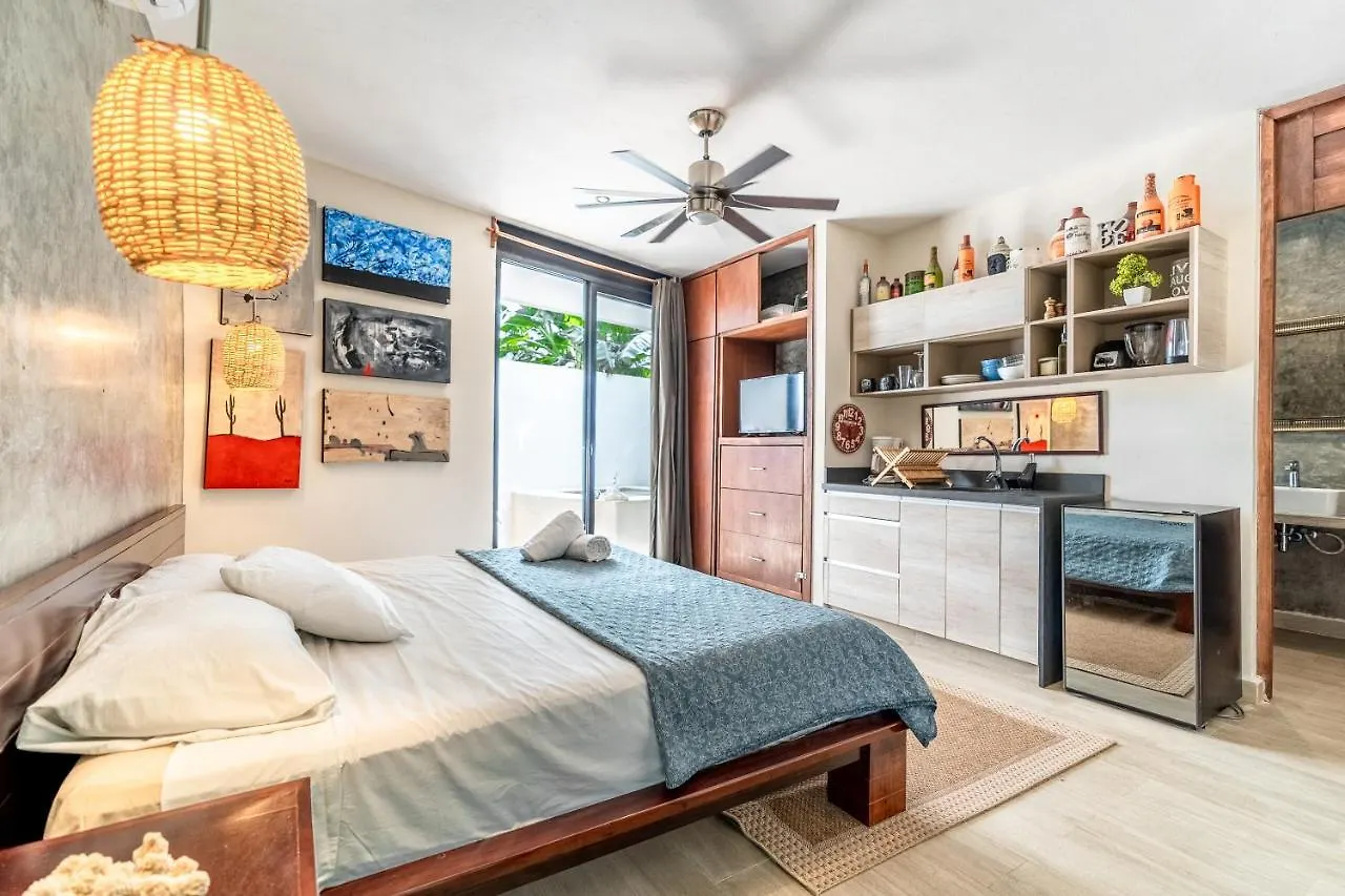 Loft Laurel Plunge Pool , Wifi, A/C, Parking Apartment Tulum 0*,  Mexico