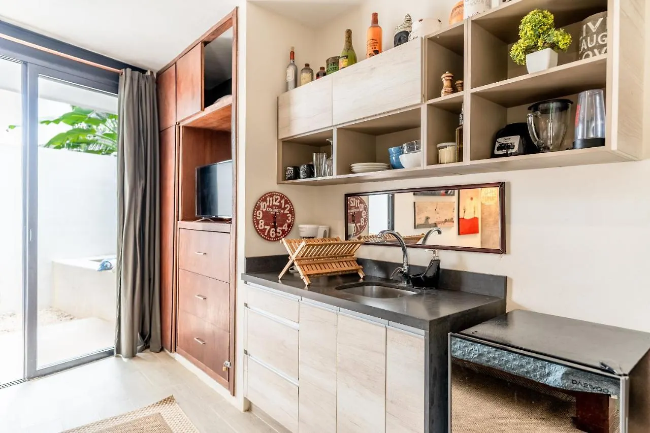 Loft Laurel Plunge Pool , Wifi, A/C, Parking Apartment Tulum